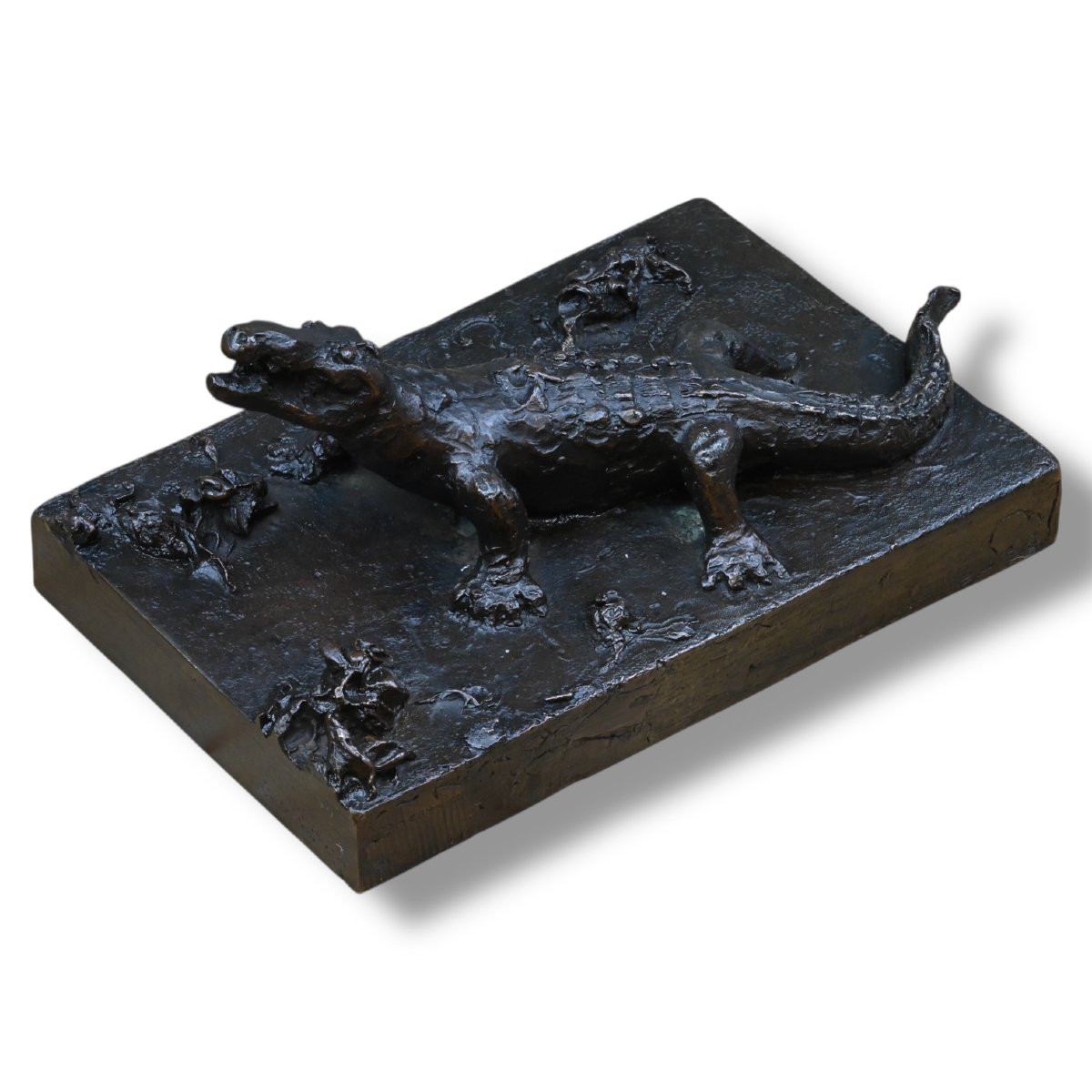 Emilio Bisi - Coccodrillo in Bronzo - Italia Fine XIX Secolo-photo-4